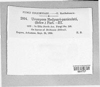 Image Associated With the Occurence